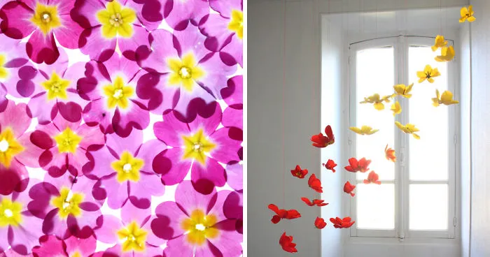 I Created Ephemeral Spring Floral Installations In A French Village