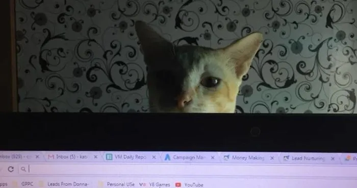 He's Spying On Me