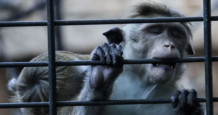 The Photography Session That Would Show You Why You Shouldn't Go To The Zoo Anymore