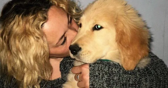 Desperate Woman Offers Her Car To Anyone Who Finds Her Beloved Dog That Was Stolen