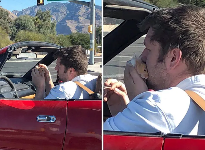 If You Think The World Is A Terrible Place These 50 Wholesome Pics Will Change Your Mind
