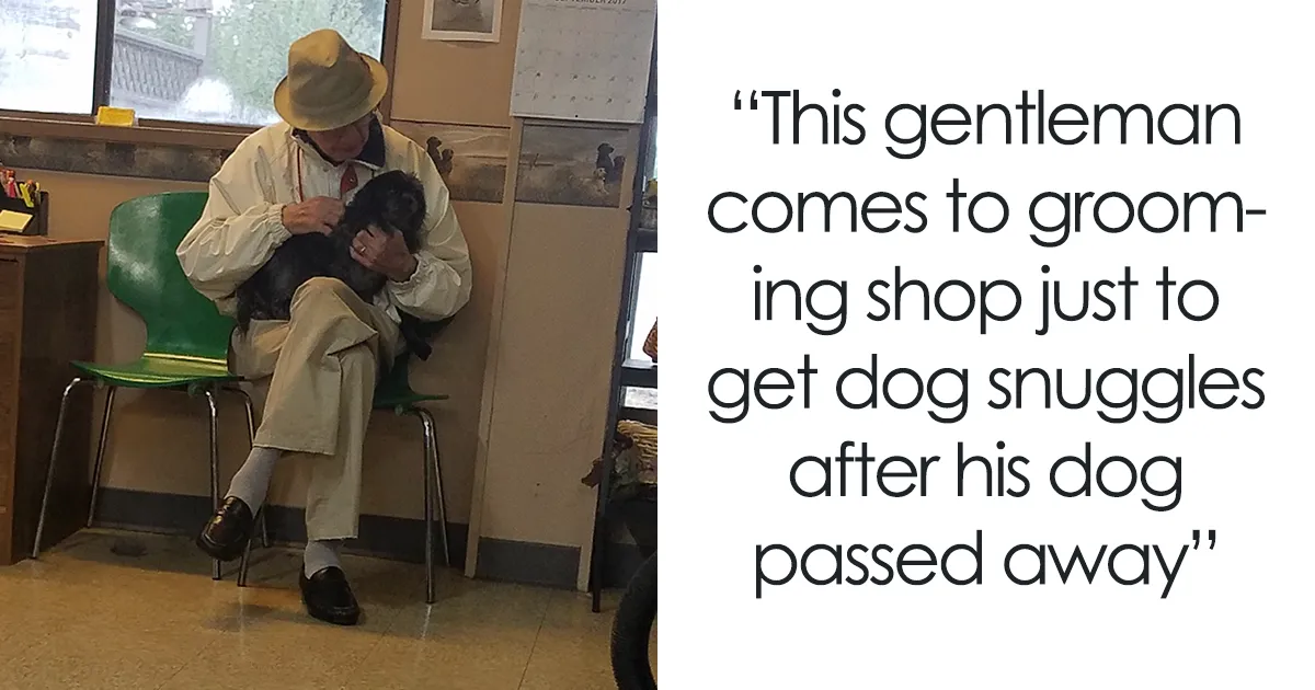 If You Think The World Is A Terrible Place These 47 Wholesome Pics Will Change Your Mind