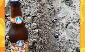 Florida Beer Garden