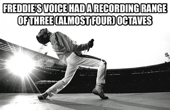 37 Facts About Freddie Mercury Most People Don't Know
