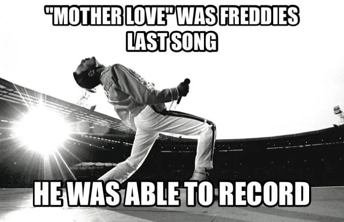 37 Facts About Freddie Mercury Most People Don't Know