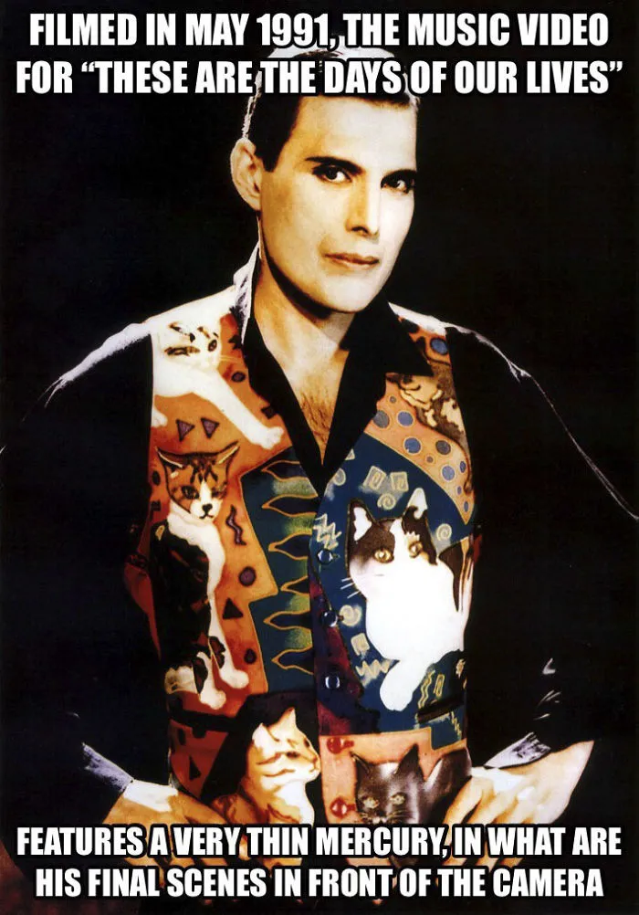 37 Facts About Freddie Mercury Most People Don't Know