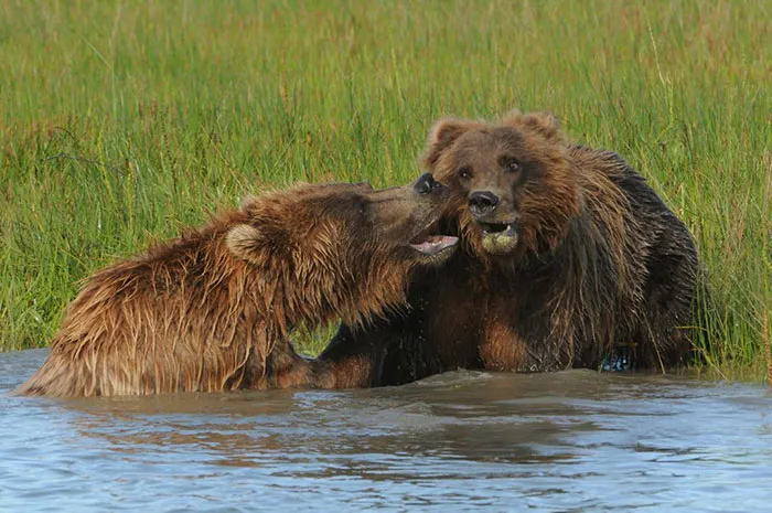 Uh... I Don't Think So Luv! By Sue Jarrett