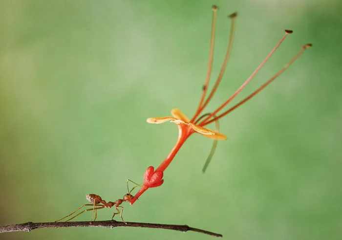 When You Really Want To Tell Someone You Love Them, Batam, Indonesia By Muhammad Faishol Husni