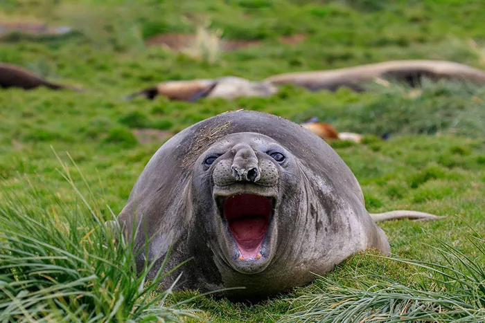 Now That's Funny! By Amy Kennedy