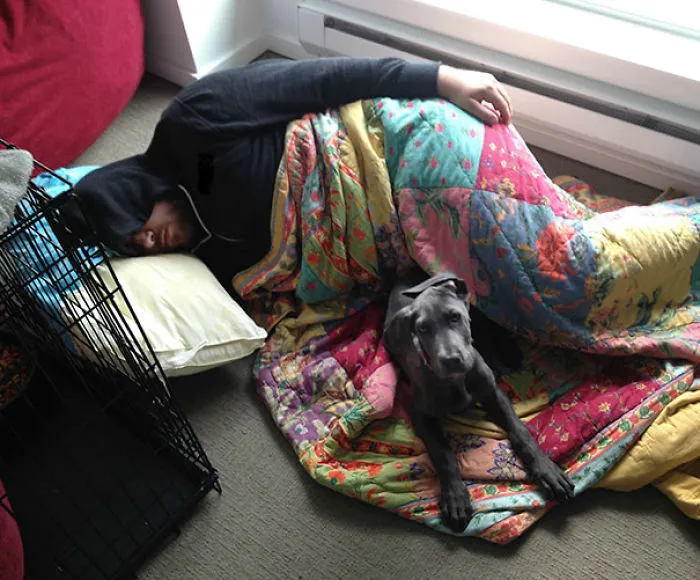 I Told My Boyfriend The New Puppy Wasn't Allowed In The Bed