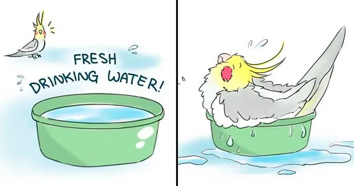Artist Draws Comics About Her Pet Bird And They're Too Positive