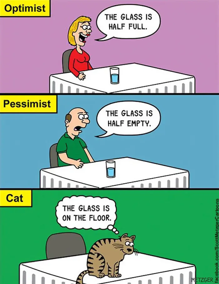 This Man Has Been Creating Cat Cartoons For Over 20 Years, And Here Are 40 Of The Best Ones