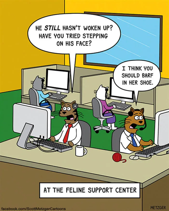 This Man Has Been Creating Cat Cartoons For Over 20 Years, And Here Are 40 Of The Best Ones