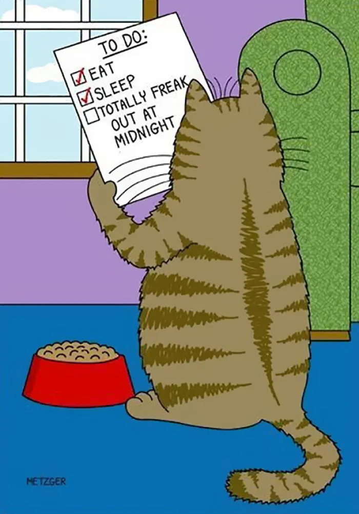 This Man Has Been Creating Cat Cartoons For Over 20 Years, And Here Are 40 Of The Best Ones