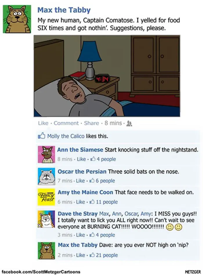 This Man Has Been Creating Cat Cartoons For Over 20 Years, And Here Are 40 Of The Best Ones