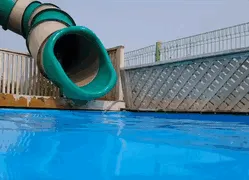 Flying Corgi