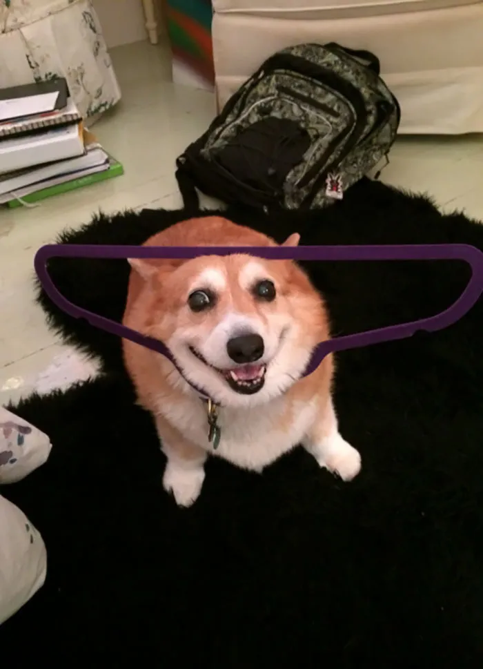 Hooman Pls Halp I Am Stucc