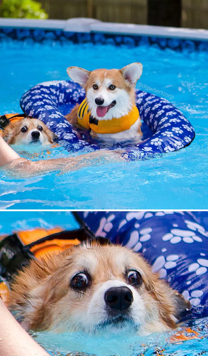 Raft Life Vs. Not Raft Life