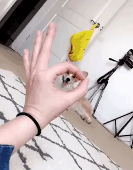 Must Boop Snoot In The Hoop