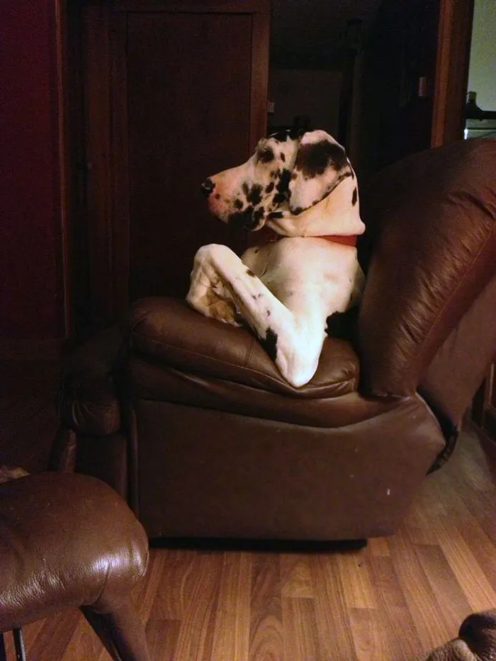 Se cree que es humano
