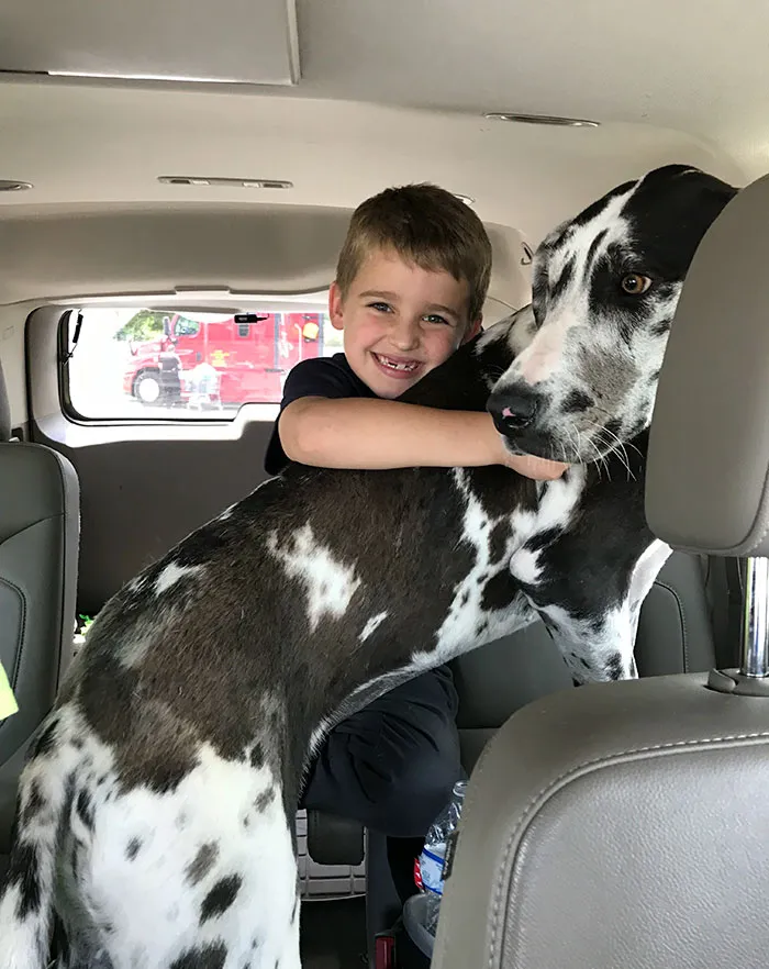 Son Talked Us Into Going To The Animal Shelter Saying He Wanted A Small Dog. Worth It For That Smile