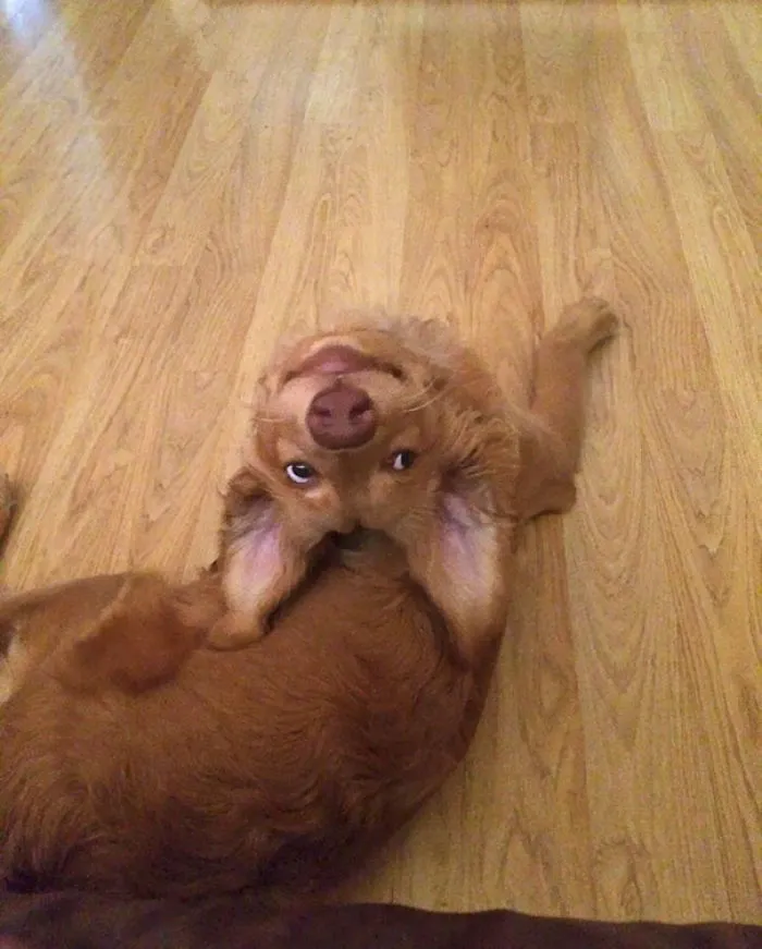 She Keeps Looking At Me Like This