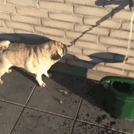 Water Can Be Tricky