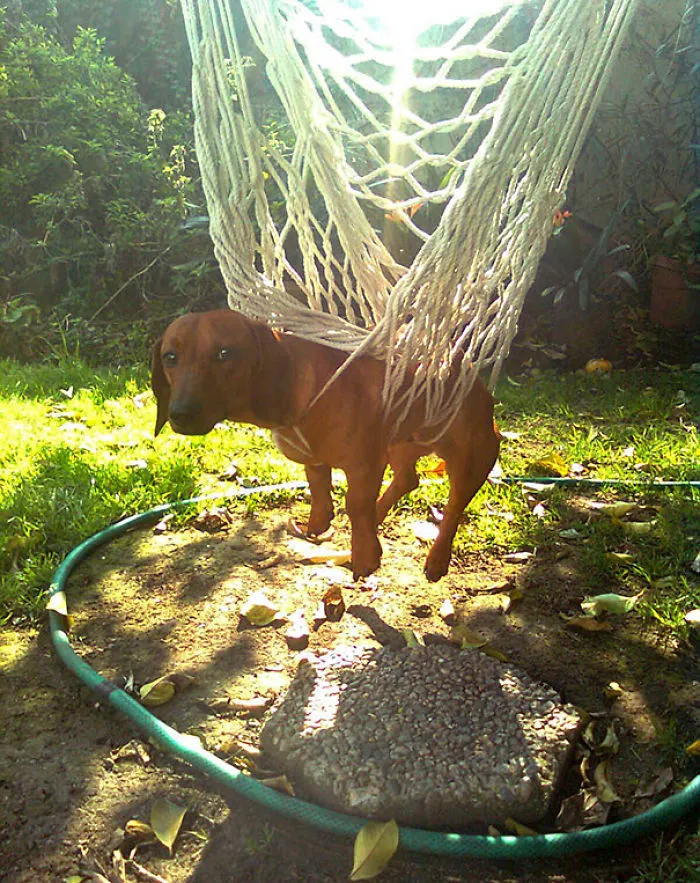 Pls Halp! Dunno How I Got Here