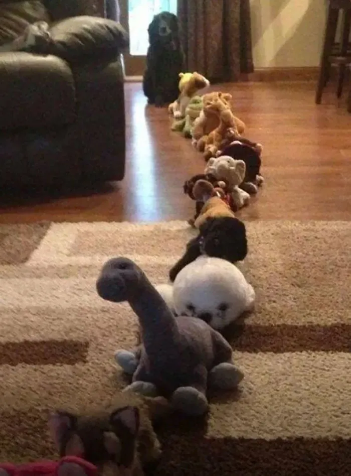 He Thinks He Has To Wait In Line To Get A Treat
