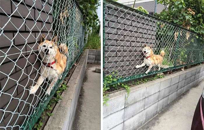 Everything's Fine, Susan
