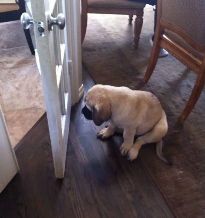 He Was Whining Because It Was "Closed"