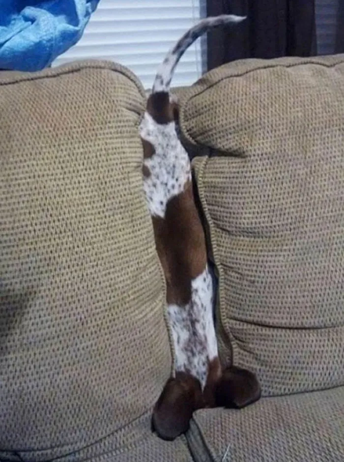 How Does This Even Happen?