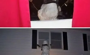 113 Of The Funniest Parents Ever