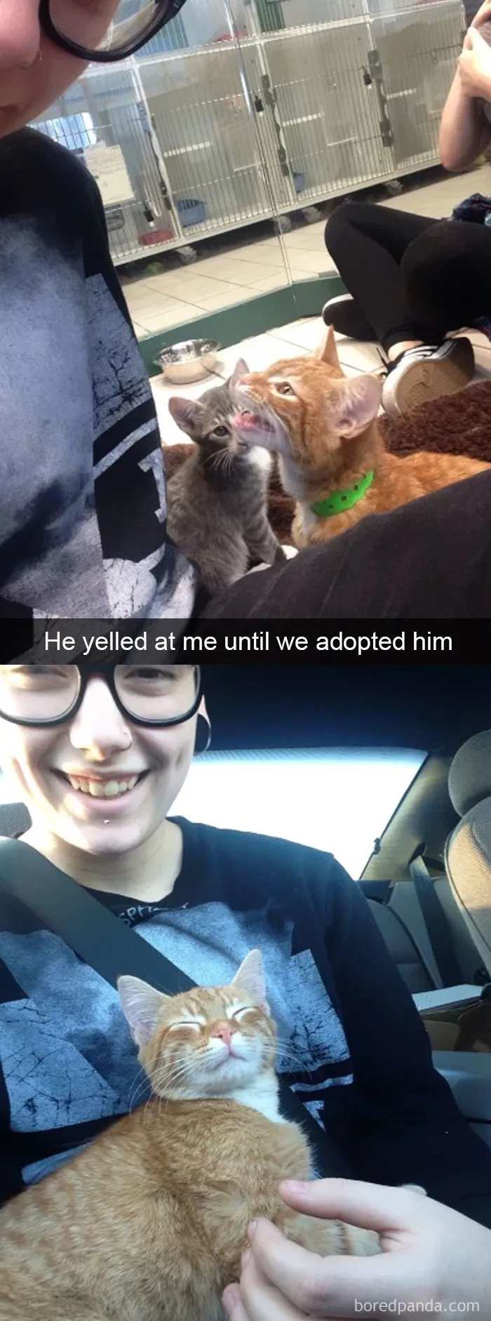 40 Hilarious Cat Snapchats That Will Leave You With The Biggest Smile