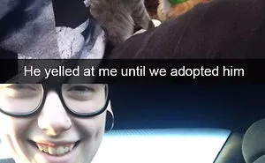 40 Hilarious Cat Snapchats That Will Leave You With The Biggest Smile