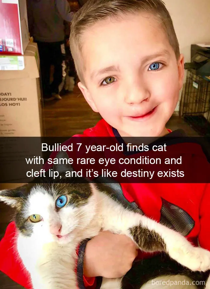 40 Hilarious Cat Snapchats That Will Leave You With The Biggest Smile