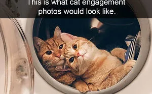 40 Hilarious Cat Snapchats That Will Leave You With The Biggest Smile