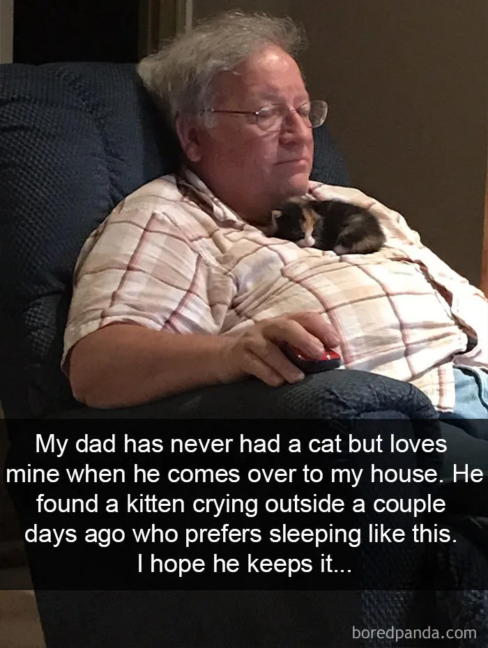 40 Hilarious Cat Snapchats That Will Leave You With The Biggest Smile
