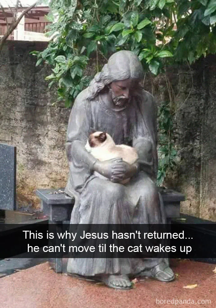 40 Hilarious Cat Snapchats That Will Leave You With The Biggest Smile