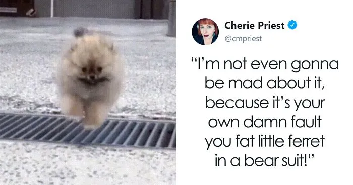 Woman Shares Her Epic Dog Saga On Twitter, And It Will Bring You Tears Of Laughter