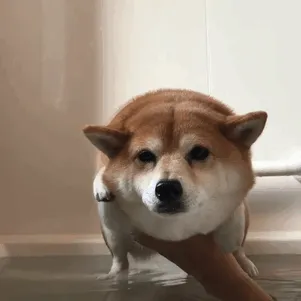 I Can Do This