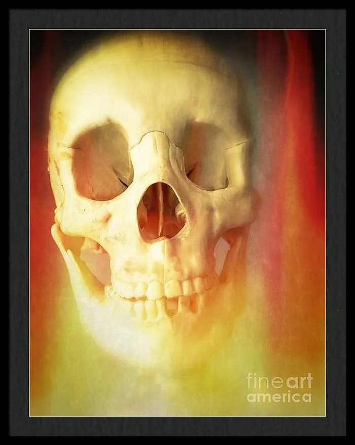 I Create Art Out Of Human Skulls