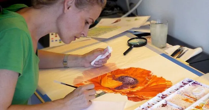 I Painted A Poppy Flower From Birth To Death In Watercolor