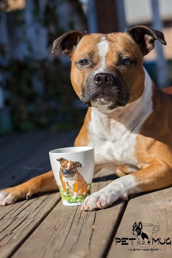 I Create 3D Sculptures Of People's Pets On Mugs Completely By Hand