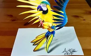 Parrot 3d