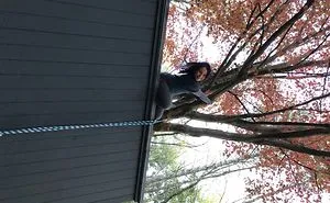 I Let My Children Do Dangerous Things. No Photoshop