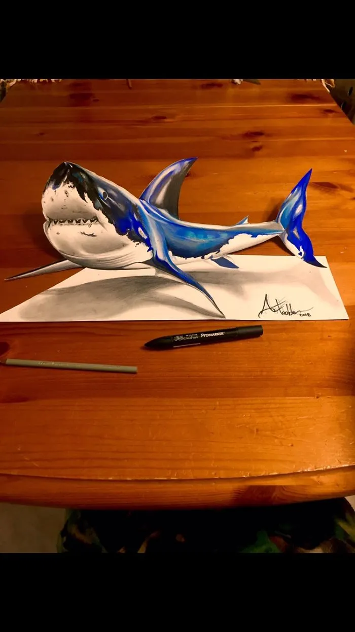 Shark 3d