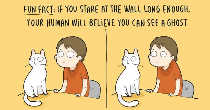 The Reality Of Having A Cat That I Captured In 29 Illustrations (New Pics)