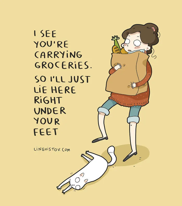 The Reality Of Having A Cat That I Captured In 29 Illustrations (New Pics)