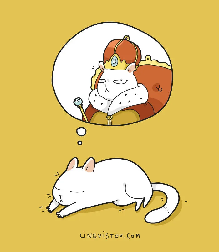 The Reality Of Having A Cat That I Captured In 29 Illustrations (New Pics)
